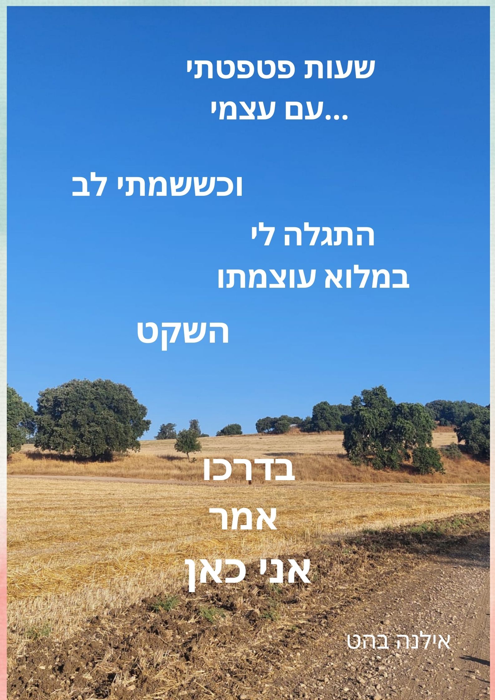 Read more about the article עוצמת השקט